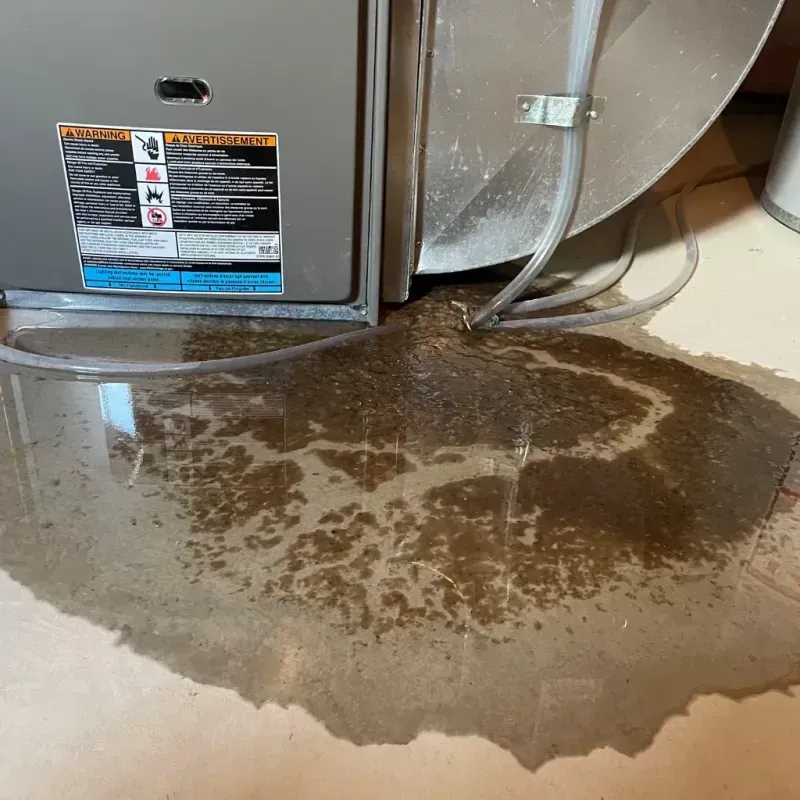 Appliance Leak Cleanup in Box Elder County, UT